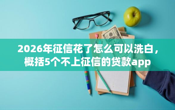 2026年征信花了怎么可以洗白,概括5个不上征信的贷款app 2026年征信花了怎么可以洗白,概括5个不上征信的贷款app