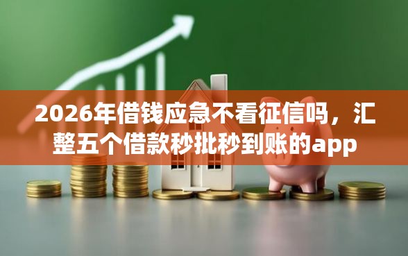 2026年借钱应急不看征信吗，汇整五个借款秒批秒到账的app