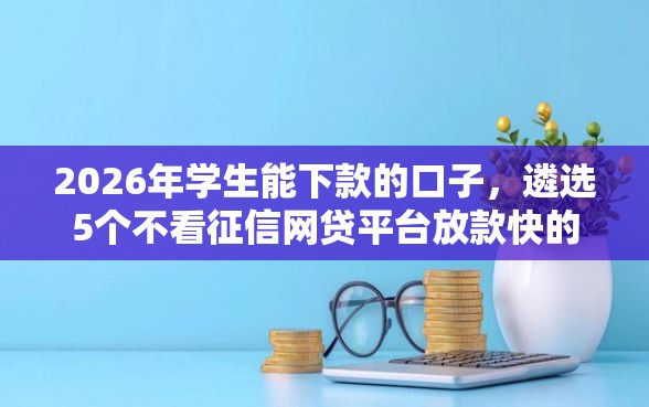 2026年学生能下款的口子，遴选5个不看征信网贷平台放款快的口子