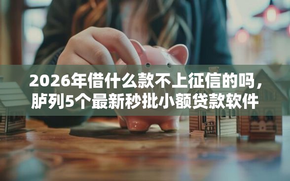 2026年借什么款不上征信的吗，胪列5个最新秒批小额贷款软件