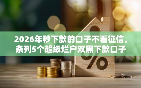 2026年秒下款的口子不看征信，条列5个超级烂户双黑下款口子