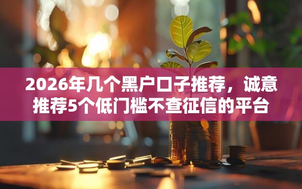2026年几个黑户口子推荐，诚意推荐5个低门槛不查征信的平台