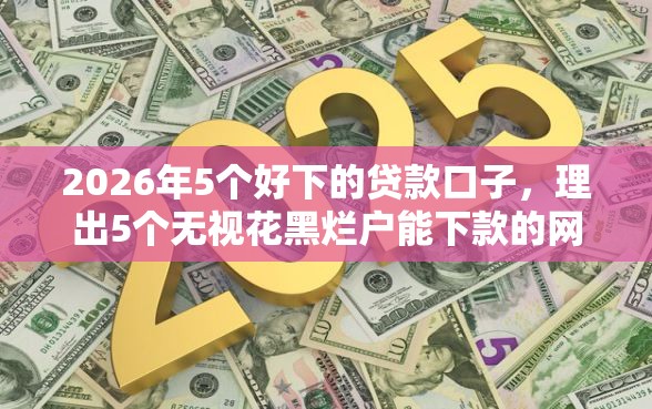 2026年5个好下的贷款口子，理出5个无视花黑烂户能下款的网贷