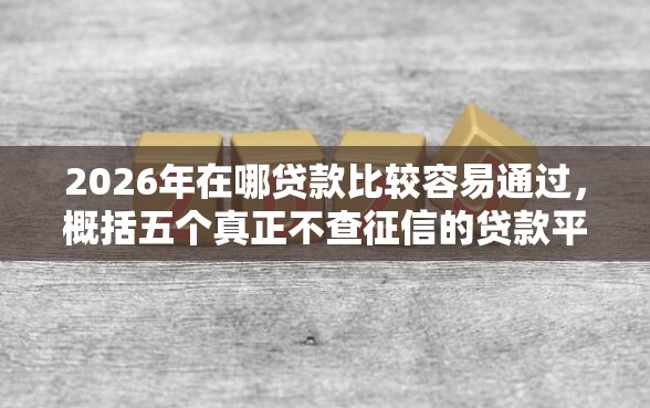 2026年在哪贷款比较容易通过，概括五个真正不查征信的贷款平台
