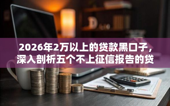 2026年2万以上的贷款黑口子，深入剖析五个不上征信报告的贷款平台