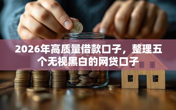 2026年高质量借款口子，整理五个无视黑白的网贷口子