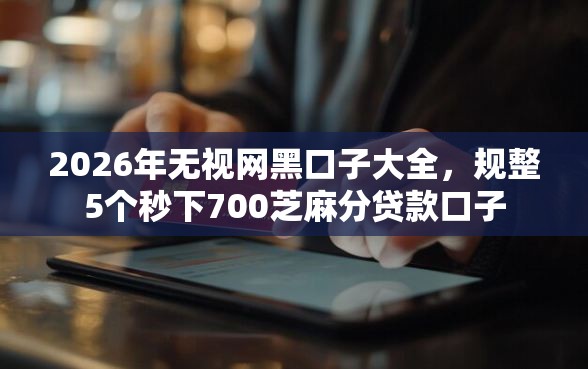 2026年无视网黑口子大全，规整5个秒下700芝麻分贷款口子