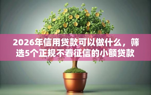 2026年信用贷款可以做什么，筛选5个正规不看征信的小额贷款平台
