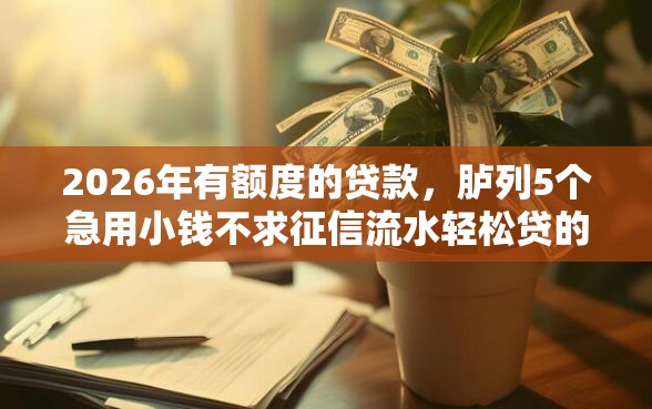 2026年有额度的贷款，胪列5个急用小钱不求征信流水轻松贷的口子