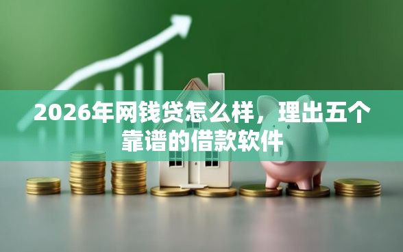 2026年网钱贷怎么样，理出五个靠谱的借款软件