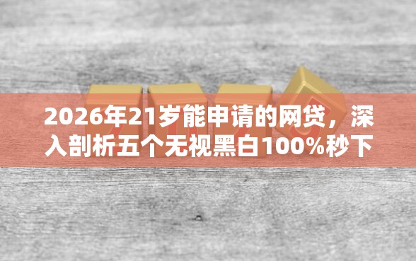 2026年21岁能申请的网贷，深入剖析五个无视黑白100%秒下网贷口子