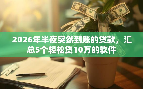 2026年半夜突然到账的贷款，汇总5个轻松贷10万的软件