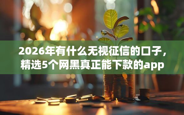 2026年有什么无视征信的口子，精选5个网黑真正能下款的app
