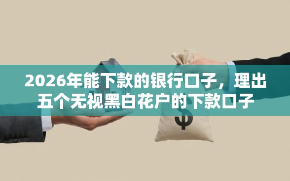 2026年能下款的银行口子，理出五个无视黑白花户的下款口子