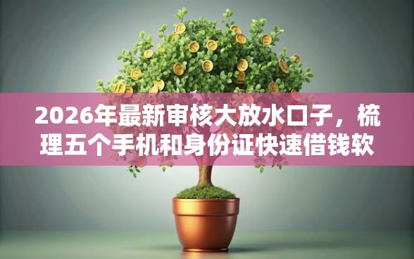 2026年最新审核大放水口子，梳理五个手机和身份证快速借钱软件