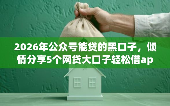 2026年公众号能贷的黑口子，倾情分享5个网贷大口子轻松借app