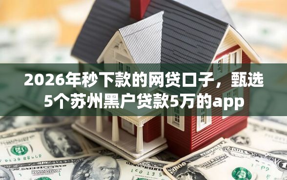2026年秒下款的网贷口子，甄选5个苏州黑户贷款5万的app