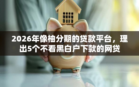 2026年像柚分期的贷款平台，理出5个不看黑白户下款的网贷