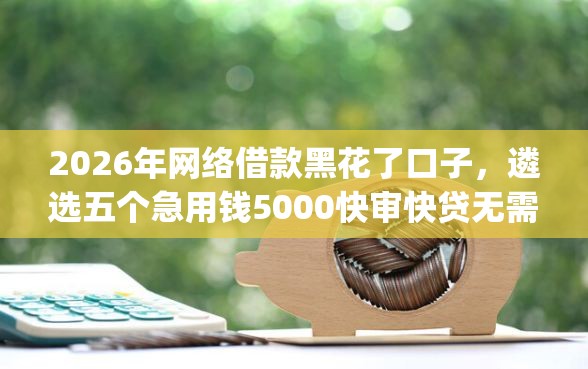 2026年网络借款黑花了口子，遴选五个急用钱5000快审快贷无需征信app