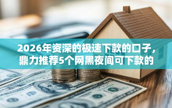2026年资深的极速下款的口子，鼎力推荐5个网黑夜间可下款的口子