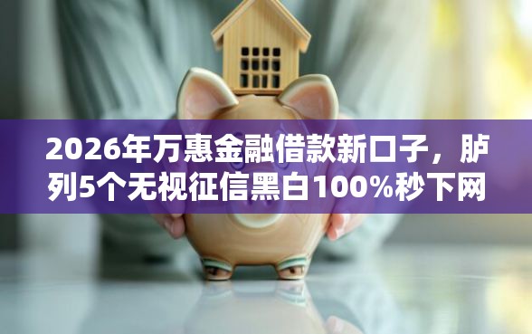 2026年万惠金融借款新口子，胪列5个无视征信黑白100%秒下网贷口子