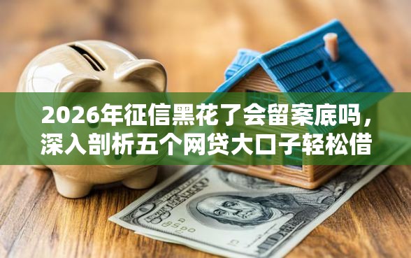2026年征信黑花了会留案底吗，深入剖析五个网贷大口子轻松借口子