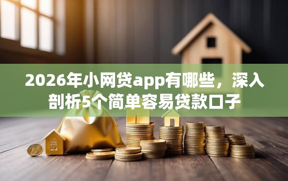 2026年小网贷app有哪些，深入剖析5个简单容易贷款口子