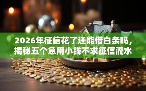 2026年征信花了还能借白条吗，揭秘五个急用小钱不求征信流水轻松贷的平台