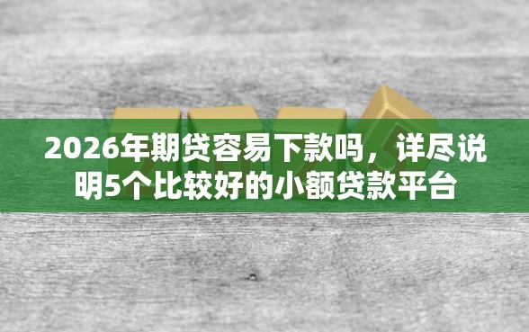 2026年期贷容易下款吗，详尽说明5个比较好的小额贷款平台
