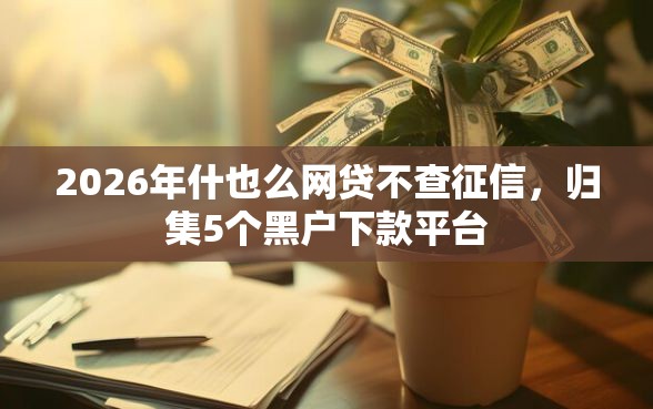 2026年什也么网贷不查征信，归集5个黑户下款平台