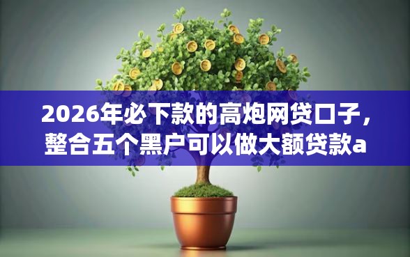 2026年必下款的高炮网贷口子，整合五个黑户可以做大额贷款app