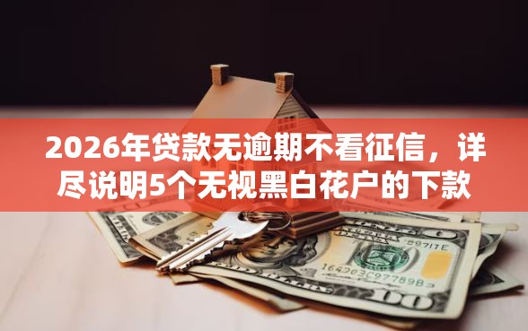 2026年贷款无逾期不看征信，详尽说明5个无视黑白花户的下款口子