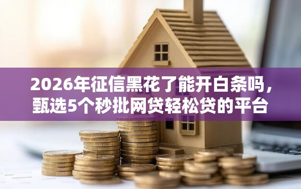 2026年征信黑花了能开白条吗，甄选5个秒批网贷轻松贷的平台