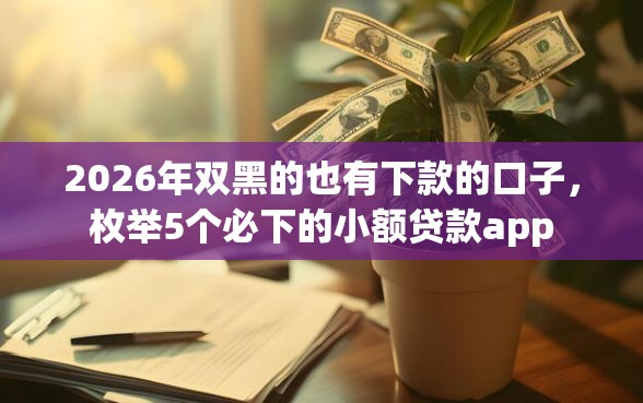 2026年双黑的也有下款的口子，枚举5个必下的小额贷款app