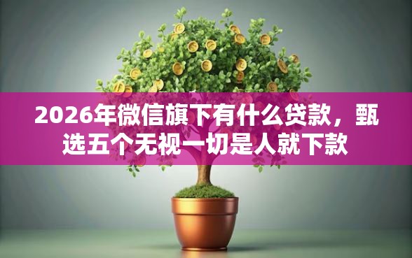 2026年微信旗下有什么贷款，甄选五个无视一切是人就下款