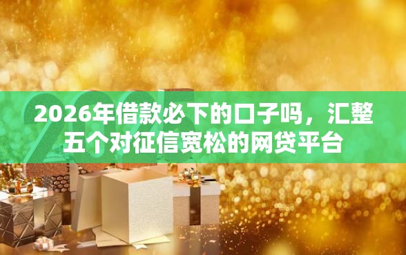 2026年借款必下的口子吗，汇整五个对征信宽松的网贷平台
