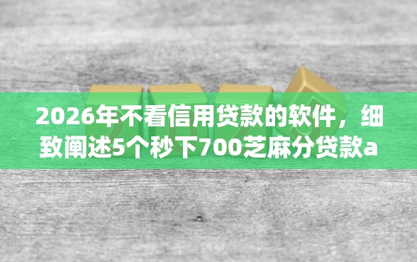 2026年不看信用贷款的软件，细致阐述5个秒下700芝麻分贷款app