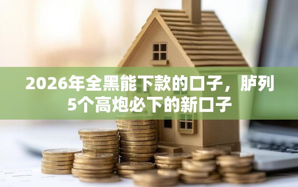 2026年全黑能下款的口子，胪列5个高炮必下的新口子