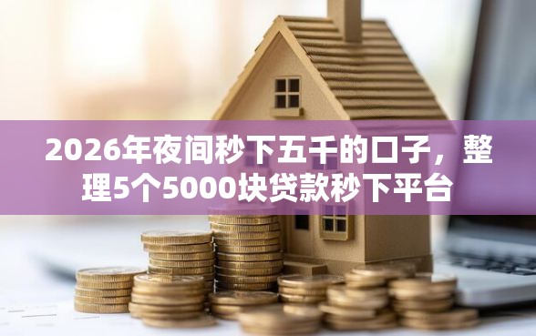 2026年夜间秒下五千的口子，整理5个5000块贷款秒下平台