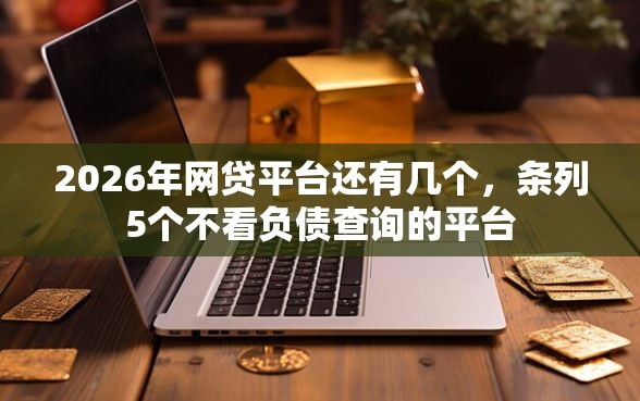 2026年网贷平台还有几个，条列5个不看负债查询的平台