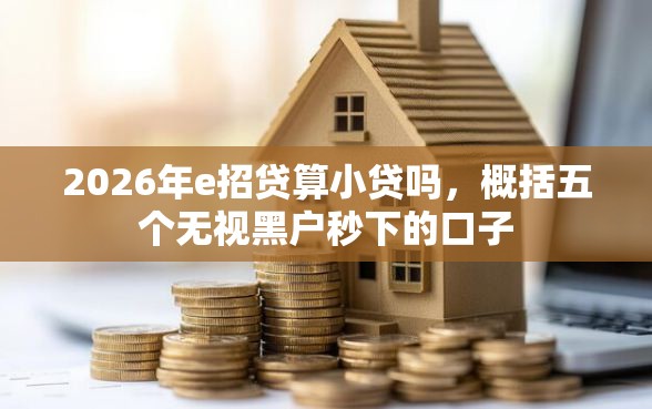 2026年e招贷算小贷吗，概括五个无视黑户秒下的口子