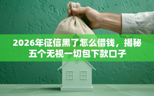 2026年征信黑了怎么借钱，揭秘五个无视一切包下款口子