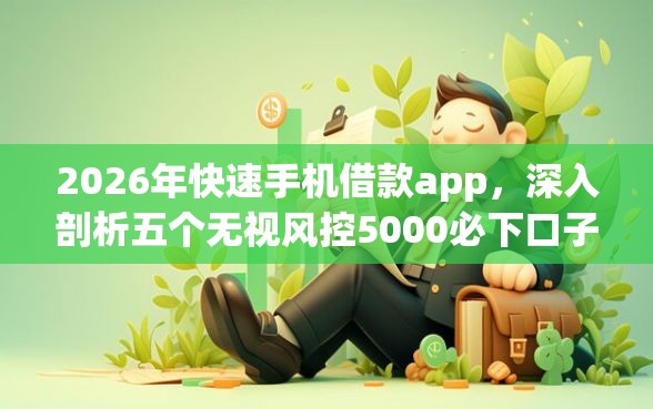 2026年快速手机借款app，深入剖析五个无视风控5000必下口子