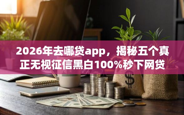 2026年去哪贷app，揭秘五个真正无视征信黑白100%秒下网贷