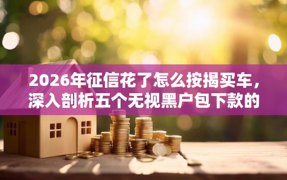 2026年征信花了怎么按揭买车，深入剖析五个无视黑户包下款的口子