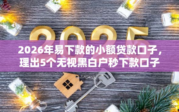 2026年易下款的小额贷款口子，理出5个无视黑白户秒下款口子软件