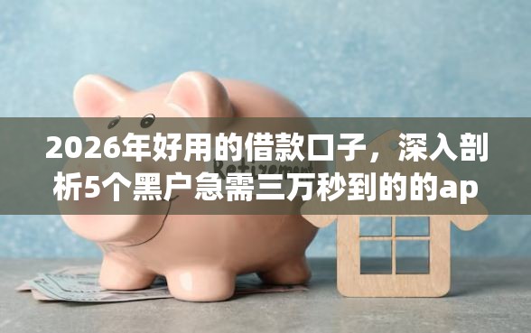 2026年好用的借款口子，深入剖析5个黑户急需三万秒到的的app