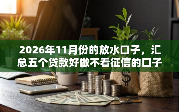 2026年11月份的放水口子，汇总五个贷款好做不看征信的口子