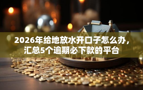 2026年给地放水开口子怎么办，汇总5个逾期必下款的平台