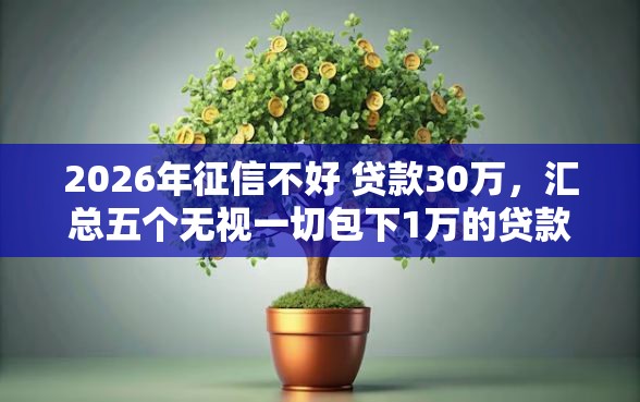 2026年征信不好 贷款30万，汇总五个无视一切包下1万的贷款
